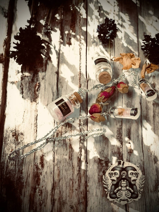 Self Love Pendant Capsule Necklace Moonstone Crystal Rose Quartz Gift for Friend Gemstone Lover Jewelry Witchy Love Spell Mystical Gifts