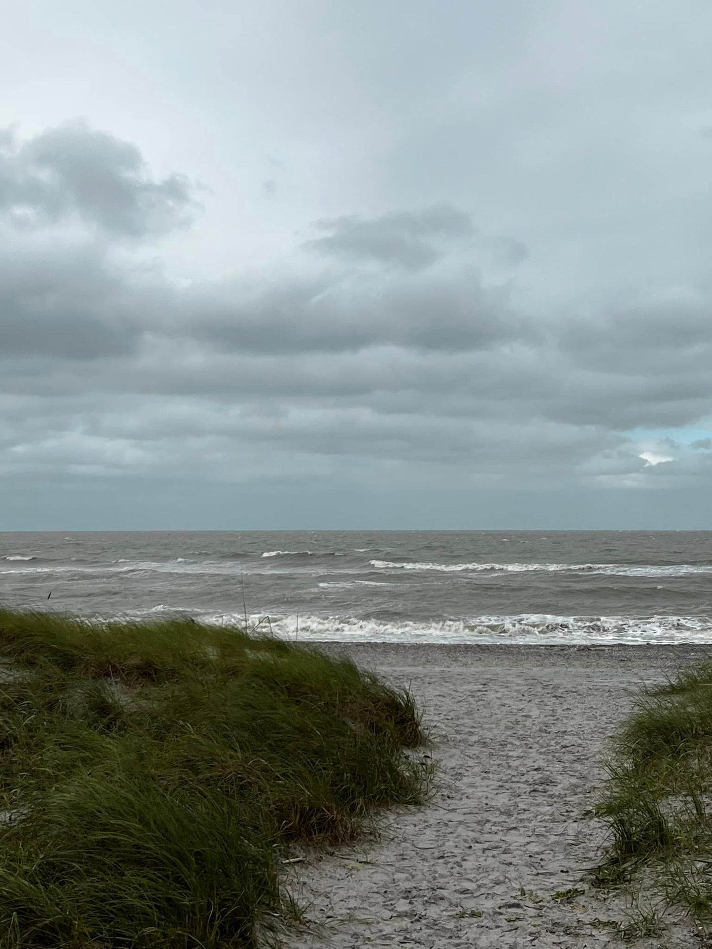 Hurricane Ian Sand Specimen in Glass Vail Curiosity, Oddity, Real Natural Disasters, Apothecary, Unique Gift Idea Gulf Ocean Storm Debris