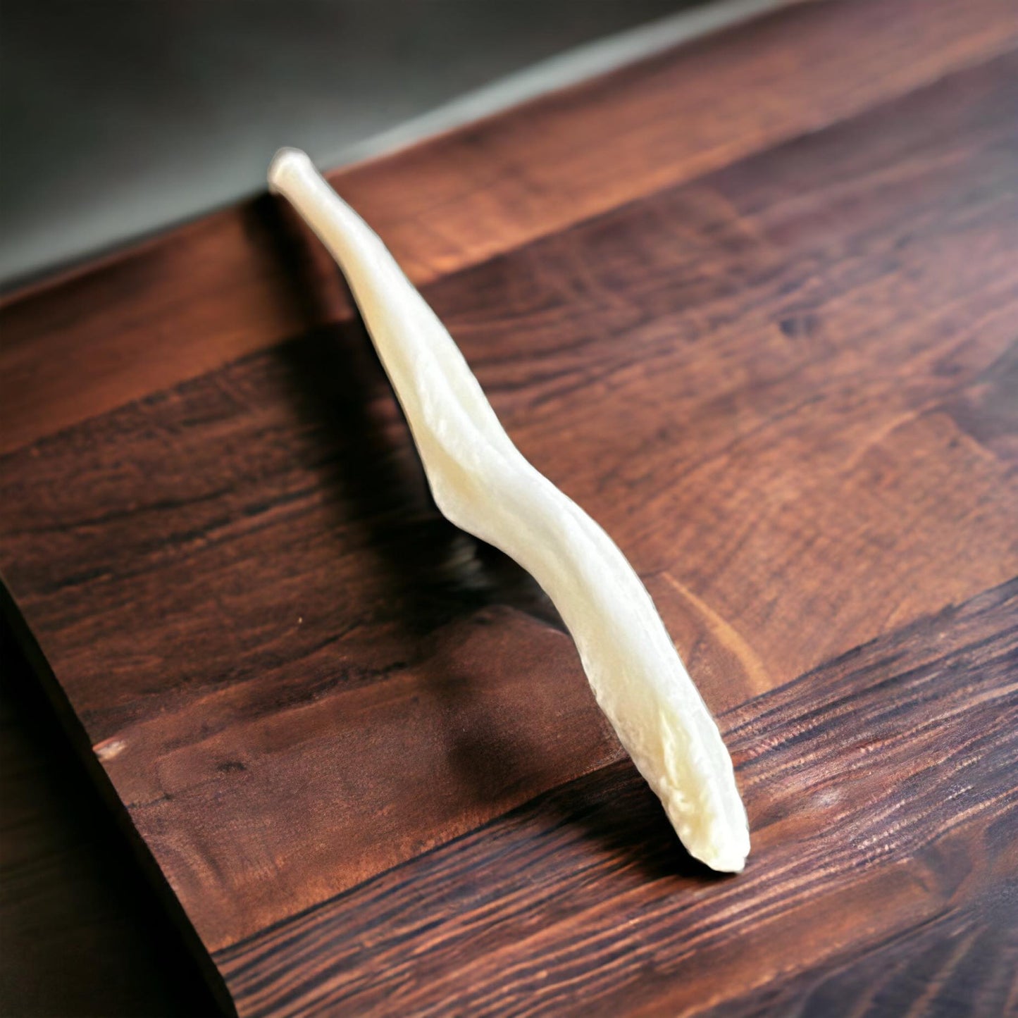 Real Ethically Sourced Coyote Penis Baculum 3" Cleaned Whitened Oddities Crafting Collector Bone
