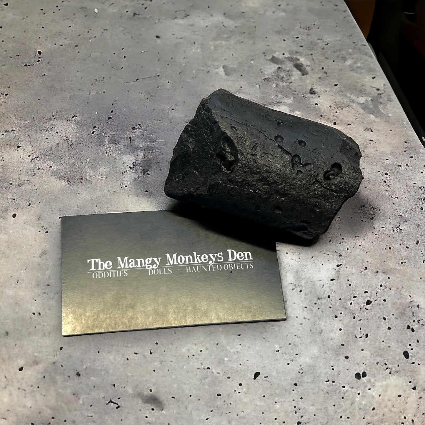 Naturally Collected 3" Dugong Sea Cow Fossilized Bone Fragment Specimen Curiosity, Oddity, Apothecary, Unique Gift Idea Fossil Biology