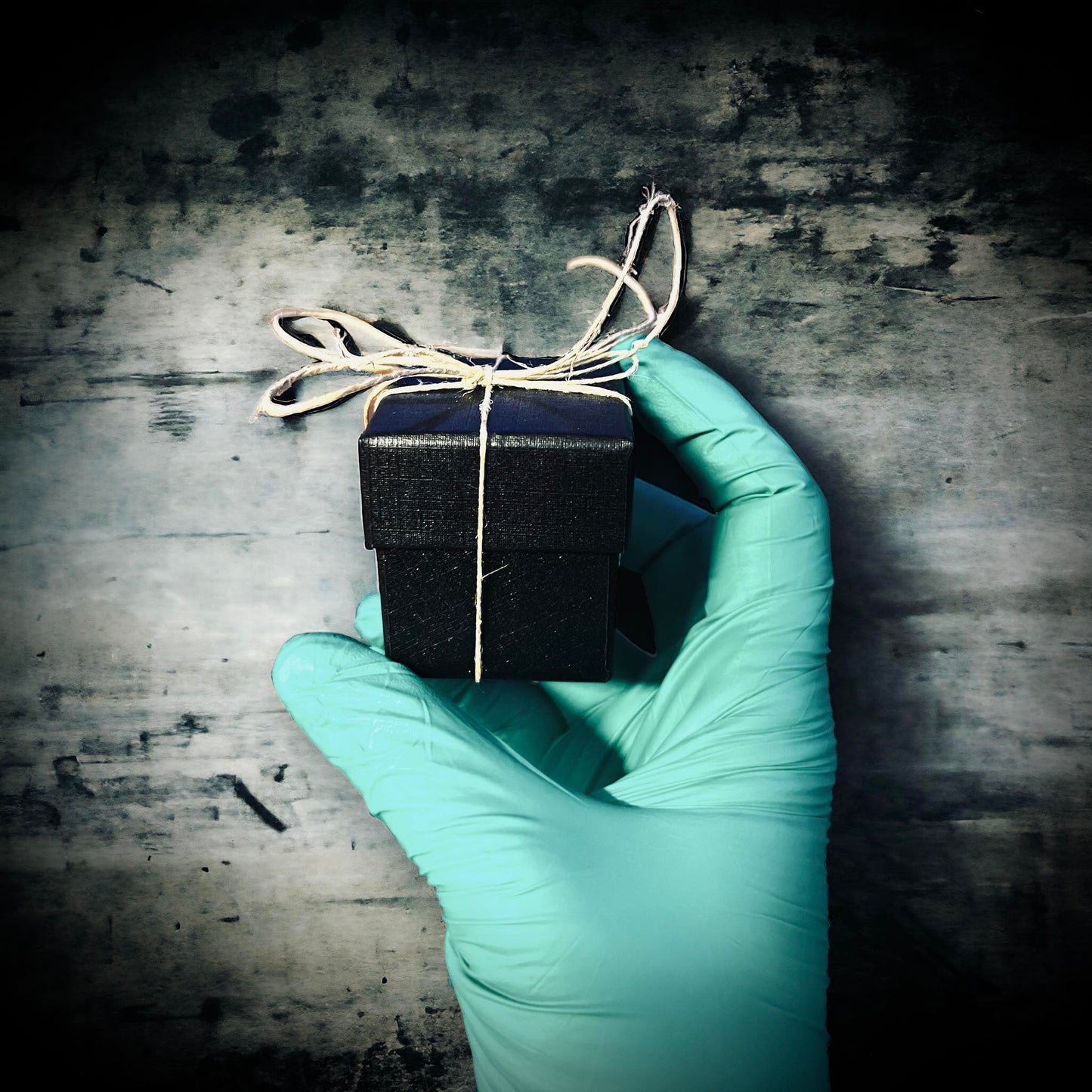 Mole's Paw Specimen in Glass Vail Gothic Voodoo Witchcraft Curiosity, Oddity, Real Animal, Apothecary, Unique Gift Idea, Taxidermy