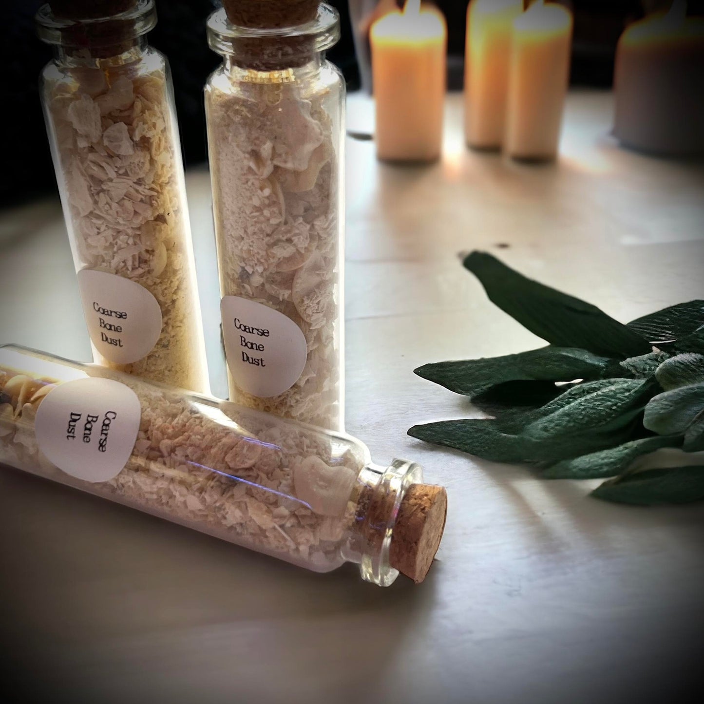 Coarse Bone Dust Naturally Collected Specimen Glass Vail Curiosity, Oddity, Apothecary, Unique Gift Idea, Witchcraft, Collectors, Rituals