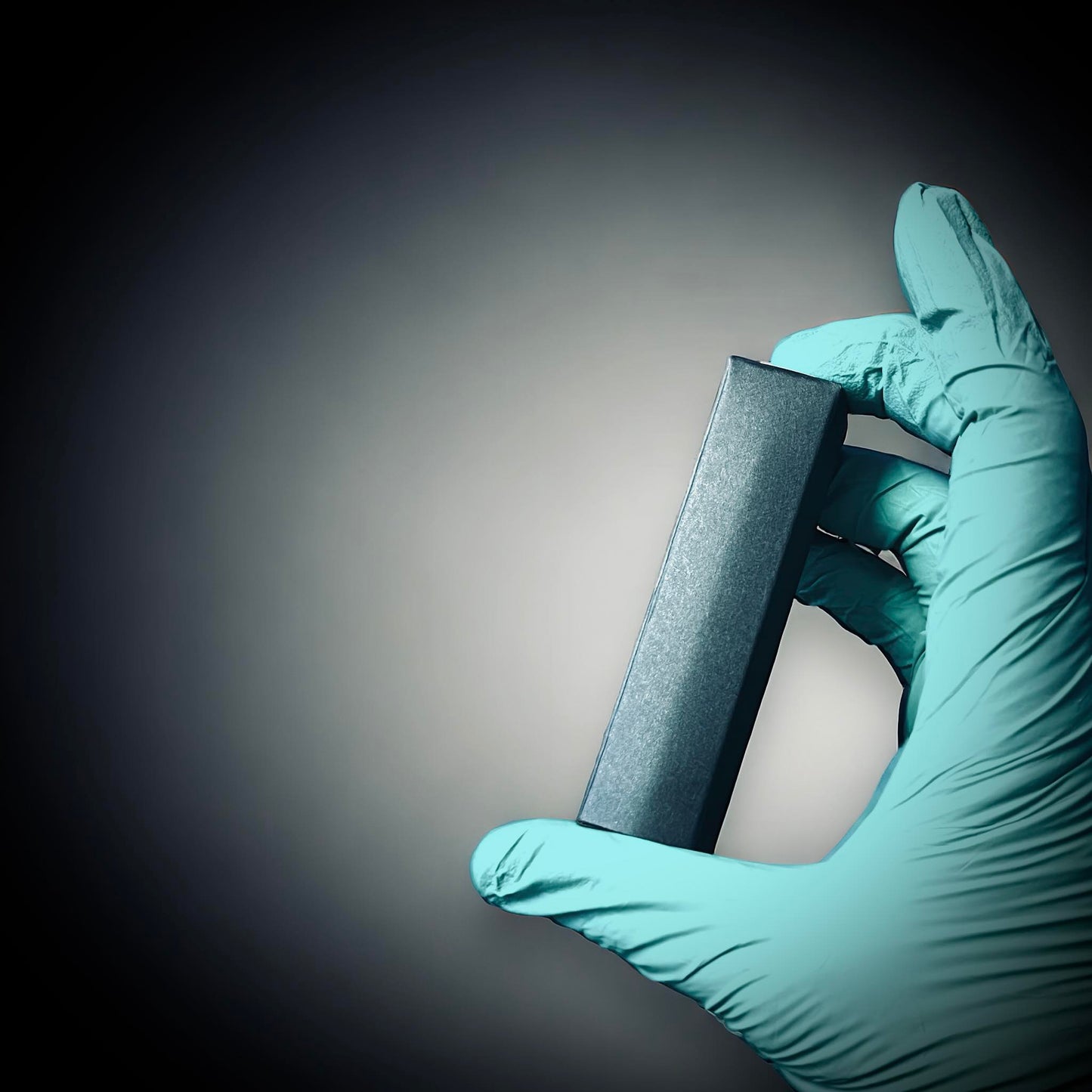 Naturally Collected Shark & Fossil Specimen in Glass Vail Curiosity, Oddity, Apothecary, Unique Gift Idea Shark Tooth Capital Beach FL