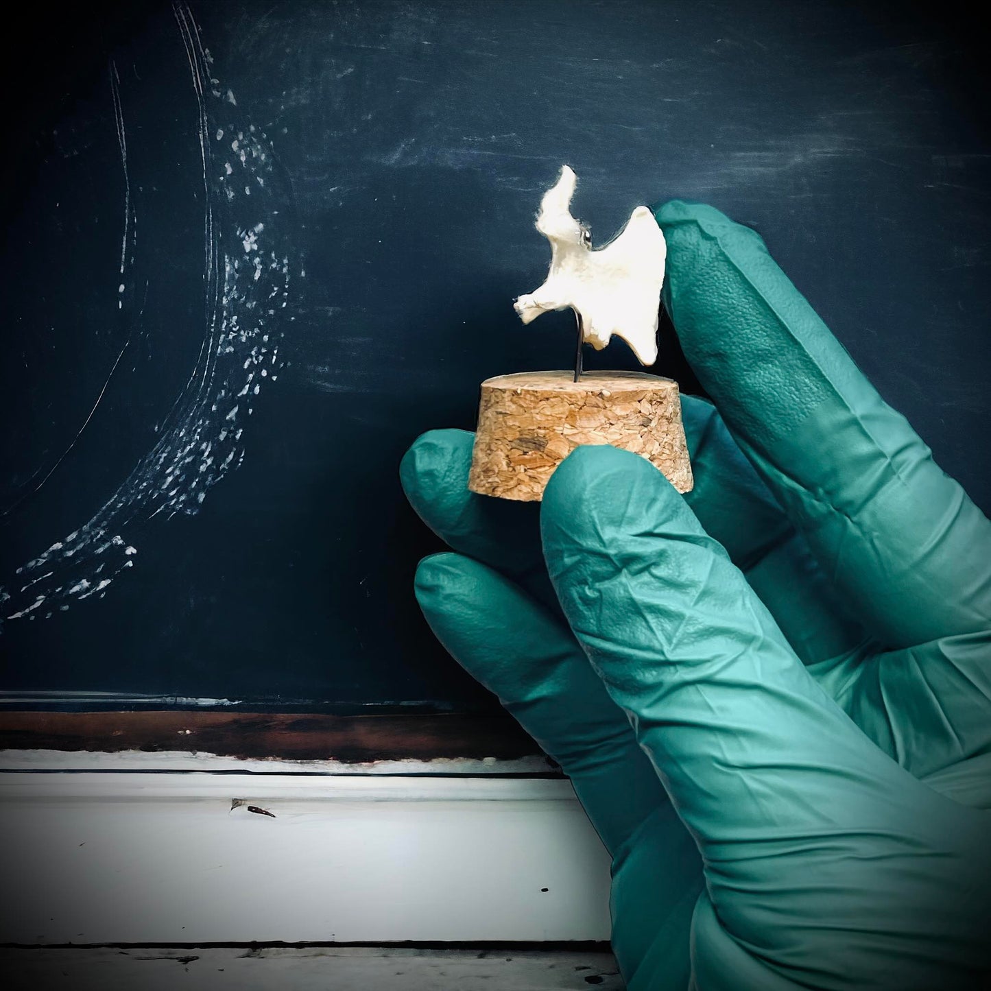 Mink Vertebrae Bone Specimen in Glass Vail Gothic Voodoo Witchcraft Curiosity, Oddity, Real Animal Bones, Apothecary, Unique Gift Idea