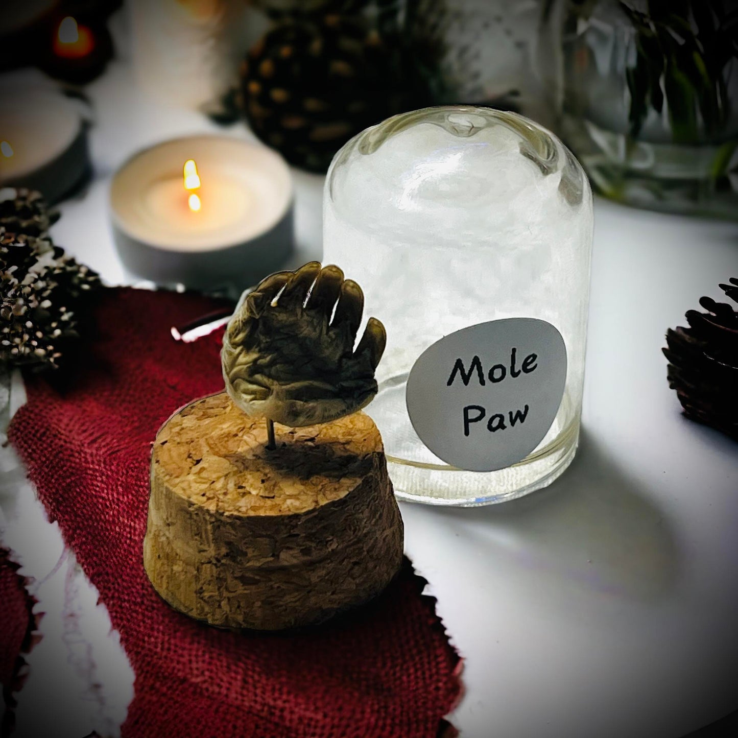 Mole's Paw Specimen in Glass Vail Gothic Voodoo Witchcraft Curiosity, Oddity, Real Animal, Apothecary, Unique Gift Idea, Taxidermy