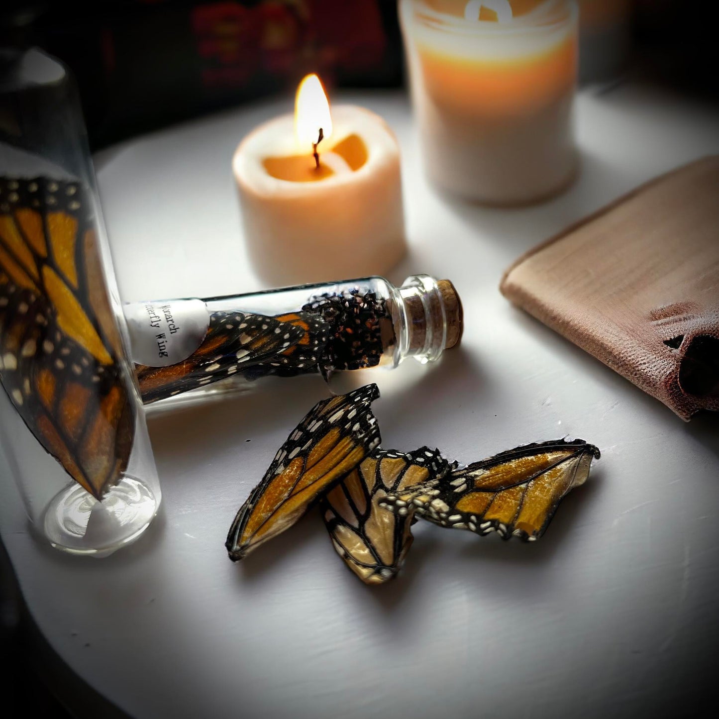 Monarch Butterfly Wings Naturally Collected Specimen in Glass Vail Curiosity, Oddity, Apothecary, Unique Gift Idea, Witchcraft, Collectors