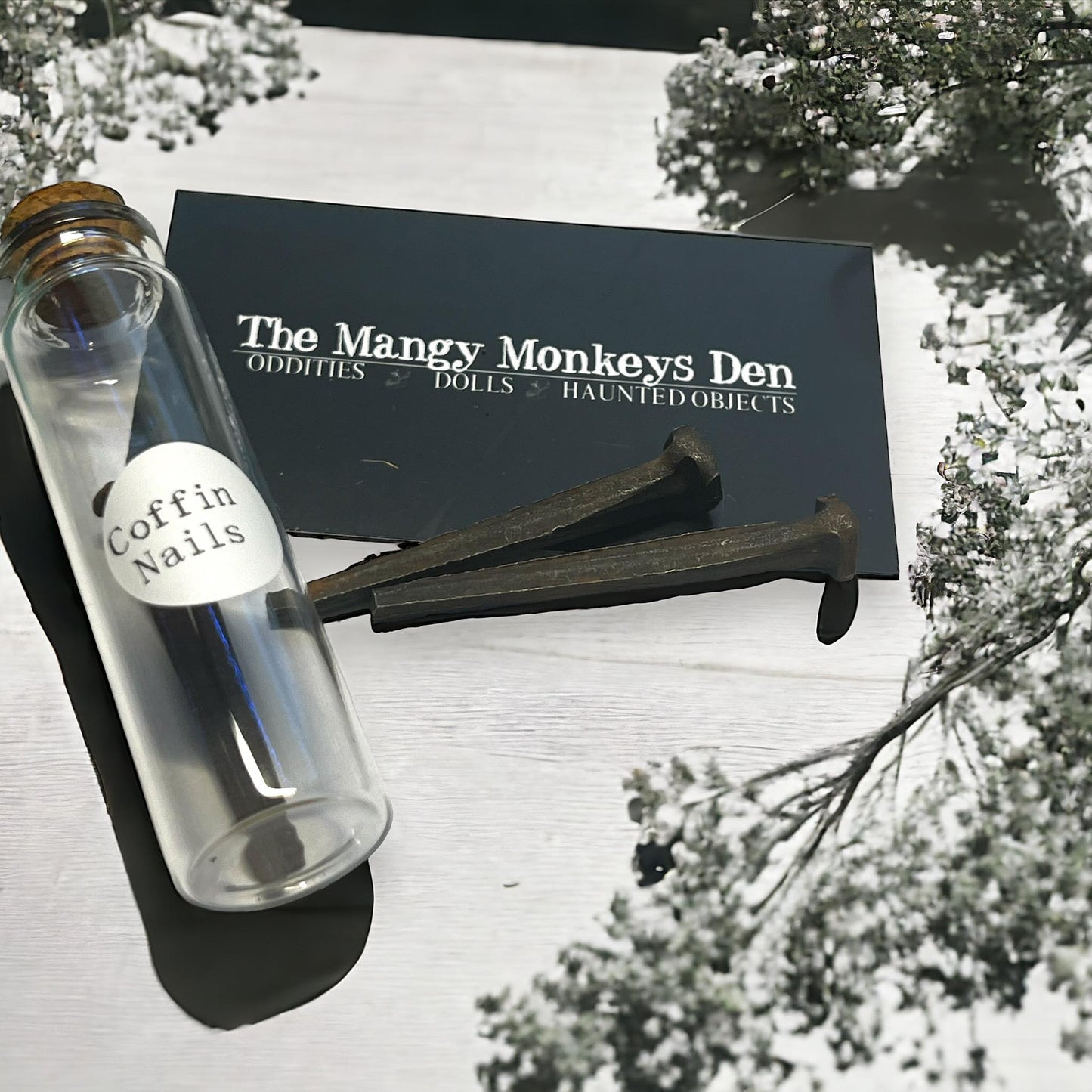 Coffin Nails Collected Specimen in Glass Vail Curiosity, Oddity, Apothecary, Unique Gift Idea Witchcraft Collectors Spell Casting Crafting