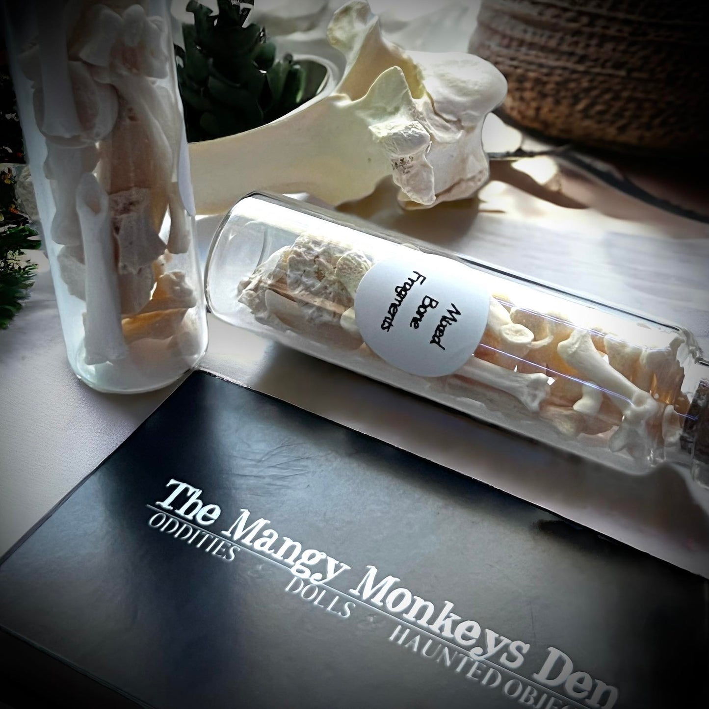 Mixed Animal Bone Fragments Naturally Collected Specimen Glass Vail Curiosity, Oddity, Apothecary, Unique Gift Idea, Witchcraft, Rituals