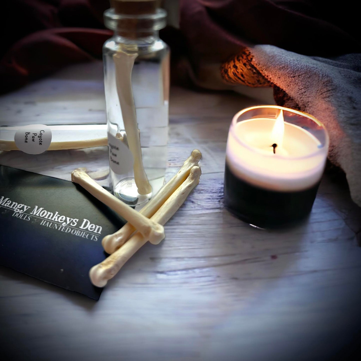 Coyote Paw Bone Naturally Collected Specimen Glass Vail Curiosity, Oddity, Apothecary, Unique Gift Idea, Witchcraft, Rituals