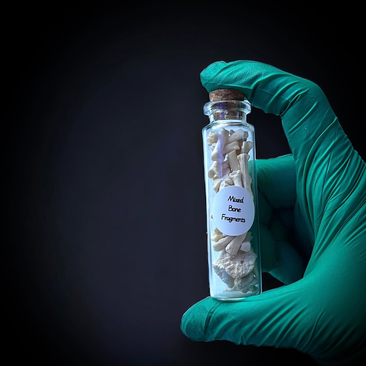 Mixed Animal Bone Fragments Naturally Collected Specimen Glass Vail Curiosity, Oddity, Apothecary, Unique Gift Idea, Witchcraft, Rituals