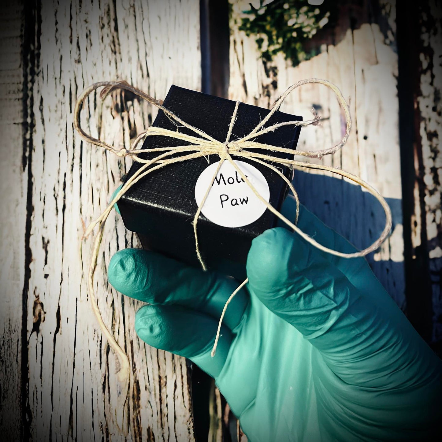 Mole's Paw Specimen in Glass Vail Gothic Voodoo Witchcraft Curiosity, Oddity, Real Animal, Apothecary, Unique Gift Idea, Taxidermy