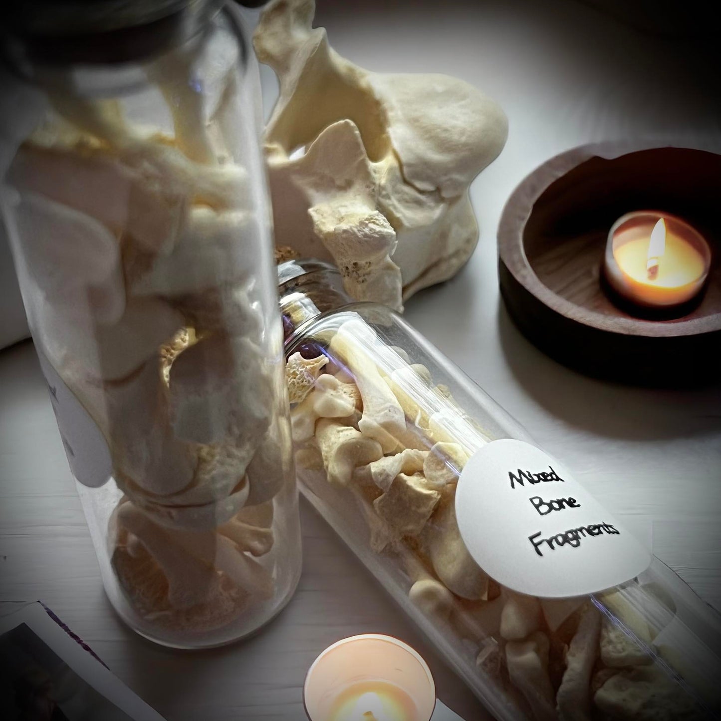 Mixed Animal Bone Fragments Naturally Collected Specimen Glass Vail Curiosity, Oddity, Apothecary, Unique Gift Idea, Witchcraft, Rituals