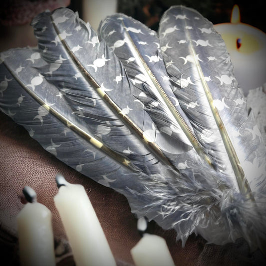 Triple Moon 12" Feather, Smudging Feathers, Feathers For Smudging or Decoration, Ethically sourced feathers, Spiritual Feathers Witchcraft