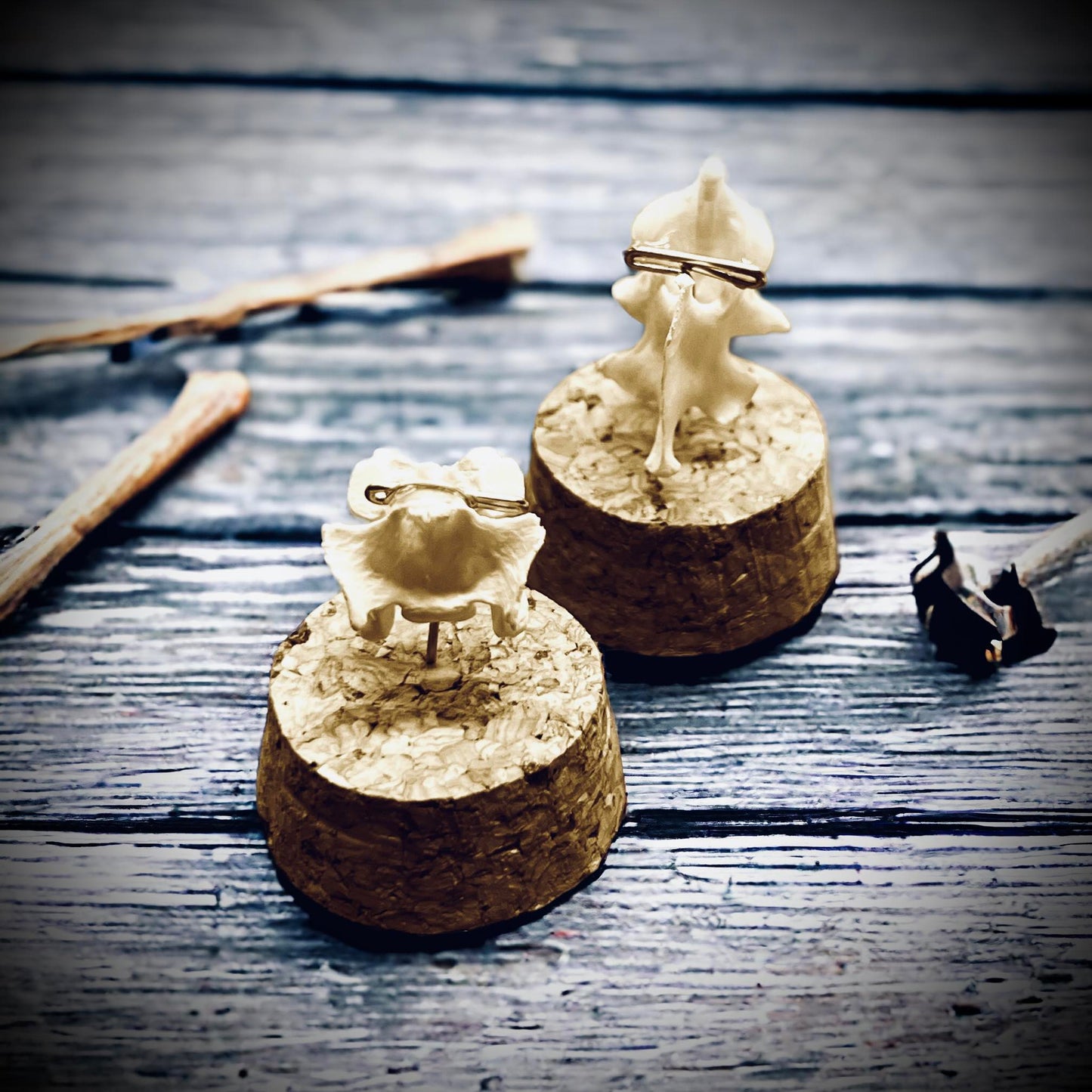 Mink Vertebrae Bone Specimen in Glass Vail Gothic Voodoo Witchcraft Curiosity, Oddity, Real Animal Bones, Apothecary, Unique Gift Idea