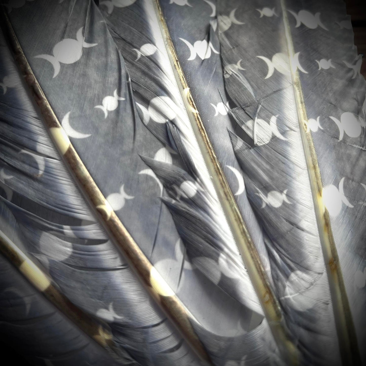 Triple Moon 12" Feather, Smudging Feathers, Feathers For Smudging or Decoration, Ethically sourced feathers, Spiritual Feathers Witchcraft