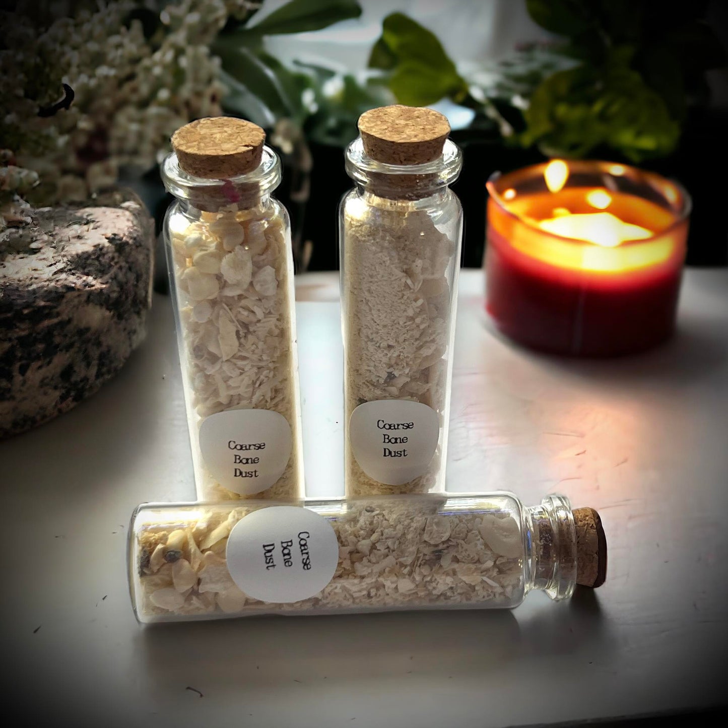 Coarse Bone Dust Naturally Collected Specimen Glass Vail Curiosity, Oddity, Apothecary, Unique Gift Idea, Witchcraft, Collectors, Rituals