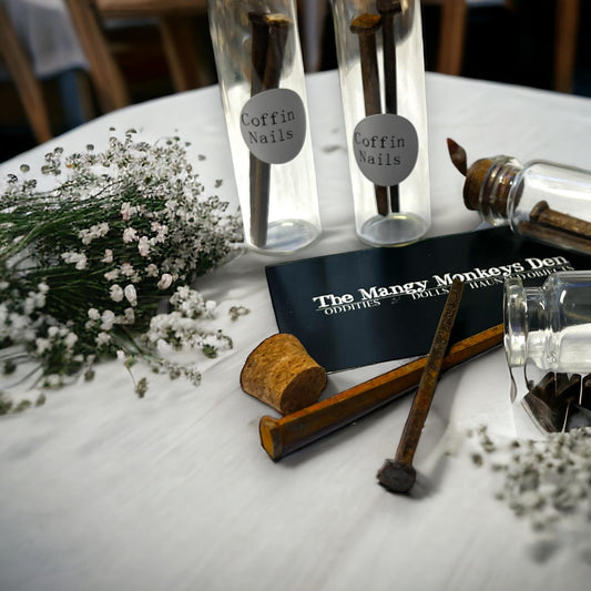 Coffin Nails Collected Specimen in Glass Vail Curiosity, Oddity, Apothecary, Unique Gift Idea Witchcraft Collectors Spell Casting Crafting