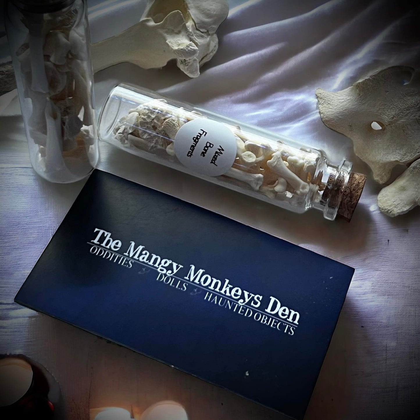 Mixed Animal Bone Fragments Naturally Collected Specimen Glass Vail Curiosity, Oddity, Apothecary, Unique Gift Idea, Witchcraft, Rituals