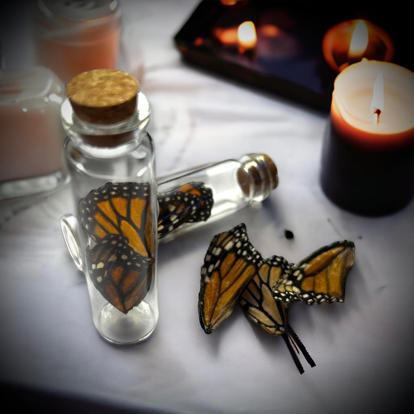 Monarch Butterfly Wings Naturally Collected Specimen in Glass Vail Curiosity, Oddity, Apothecary, Unique Gift Idea, Witchcraft, Collectors