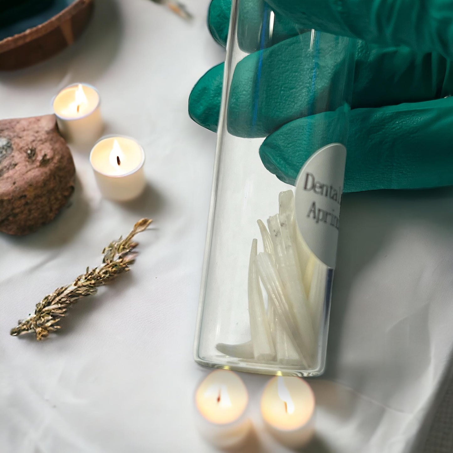 Dentalium Aprinum Tusk Shells Collected Specimen in Glass Vail Curiosity, Oddity, Apothecary, Unique Gift Idea, Witchcraft, Collectors