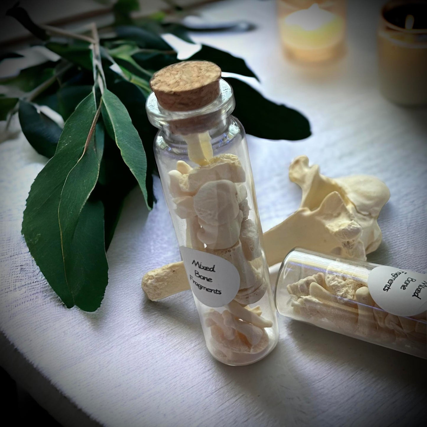 Mixed Animal Bone Fragments Naturally Collected Specimen Glass Vail Curiosity, Oddity, Apothecary, Unique Gift Idea, Witchcraft, Rituals