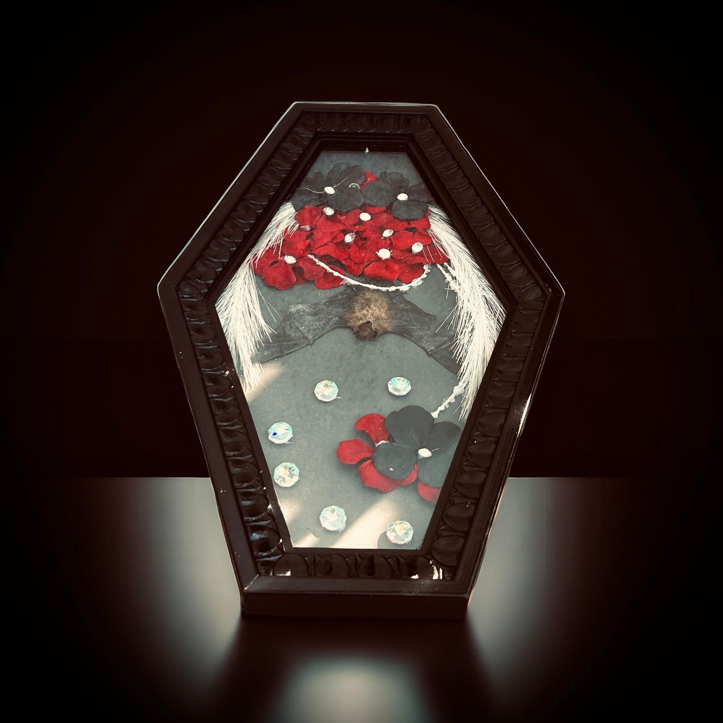 Real Tylonycteris Pachypus Bamboo Bat Display Taxidermy Preserved Whimsical Oddity Oddities Occult Curiosities Gift Idea Entomology