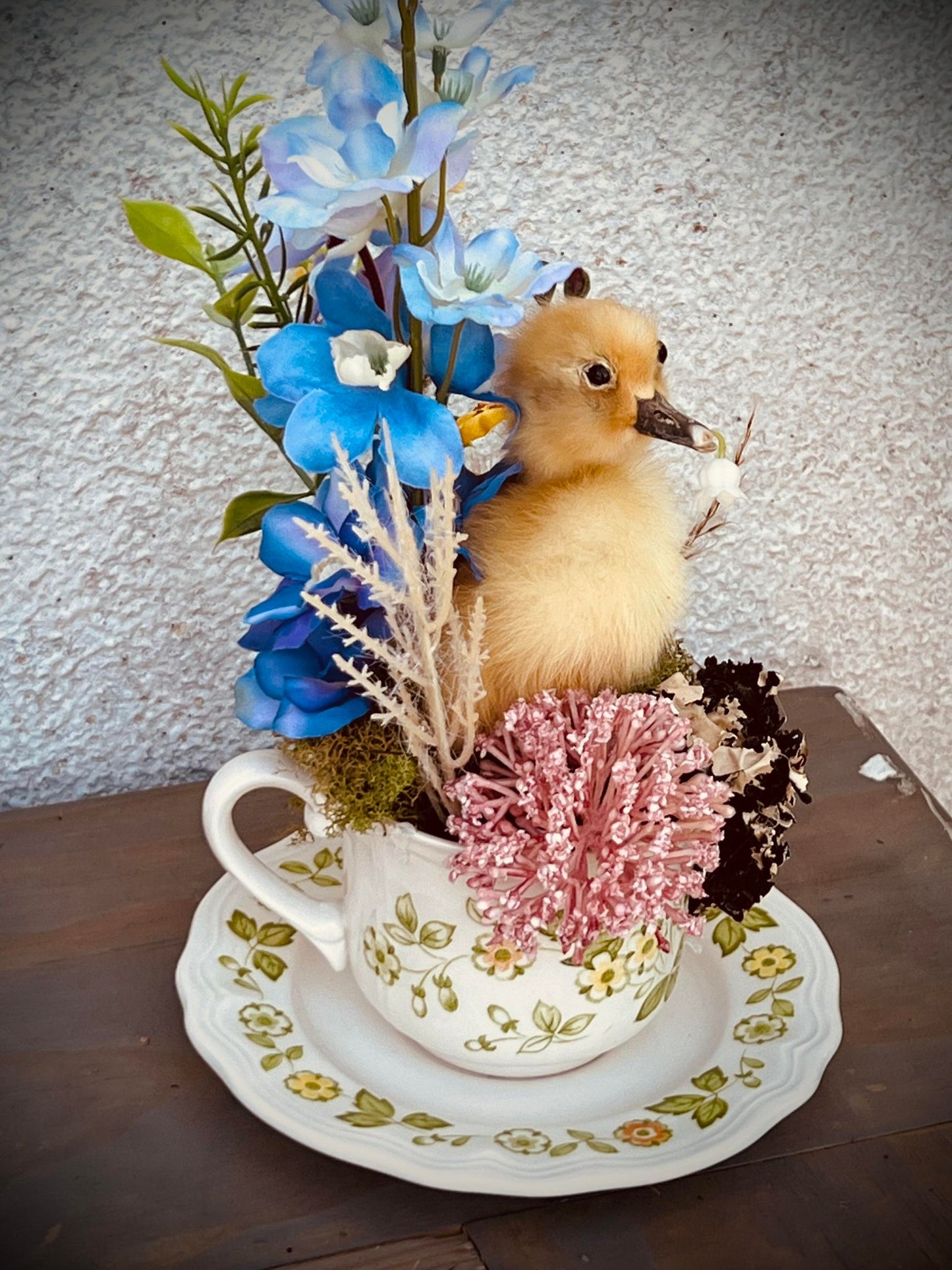 Baby Duckling Teacup Taxidermy, Gift Idea, Baby Duck on display, Oddity, Oddities, Occult, Curiosities bizarre biology specimen collection