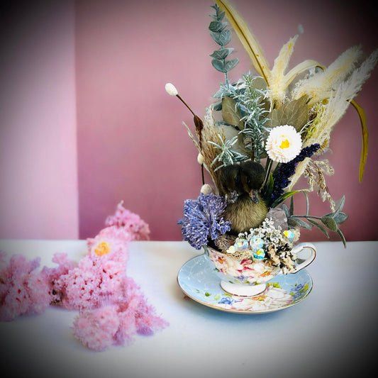 2 Headed Duckling Taxidermy, Gift Idea, Baby Duck, Teacup display, Oddity, Oddities, Occult, Curiosities bizarre biology specimen collection