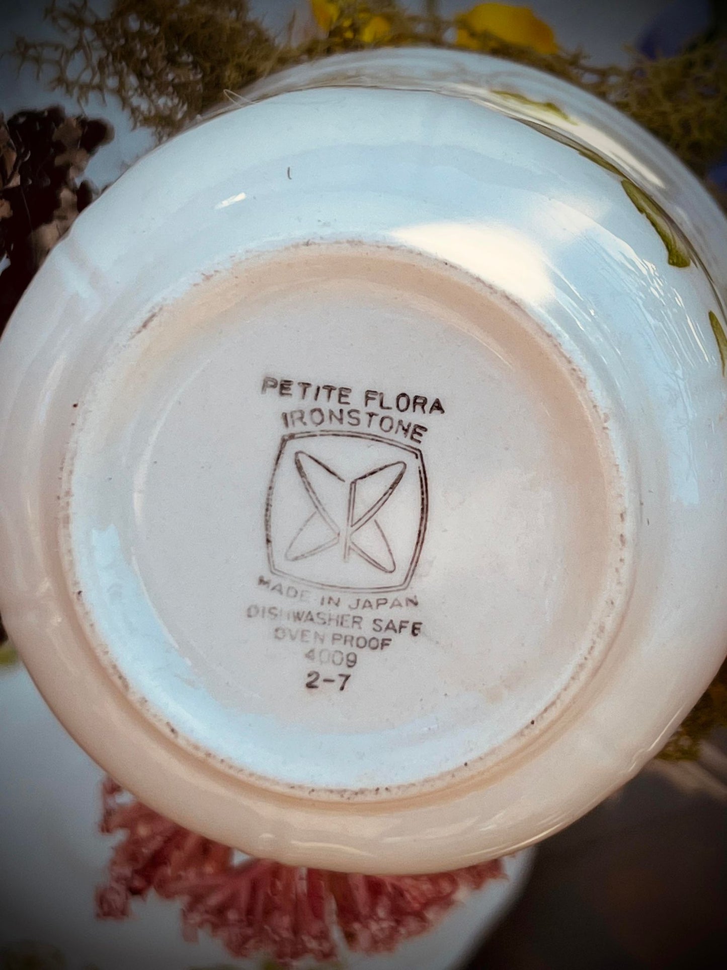 Baby Duckling Teacup Taxidermy, Gift Idea, Baby Duck on display, Oddity, Oddities, Occult, Curiosities bizarre biology specimen collection