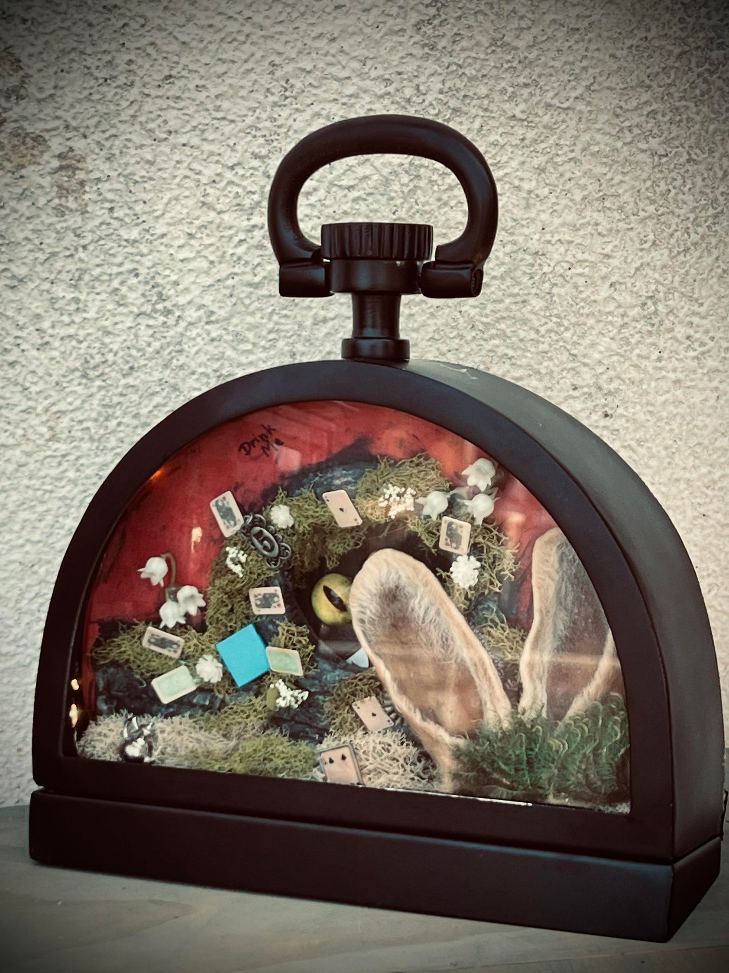 Real Bunny Ears Alice In Wonderland Display Taxidermy Home Decor Preserved Whimsical Oddity Oddities Occult Curiosities Collection Gift Idea