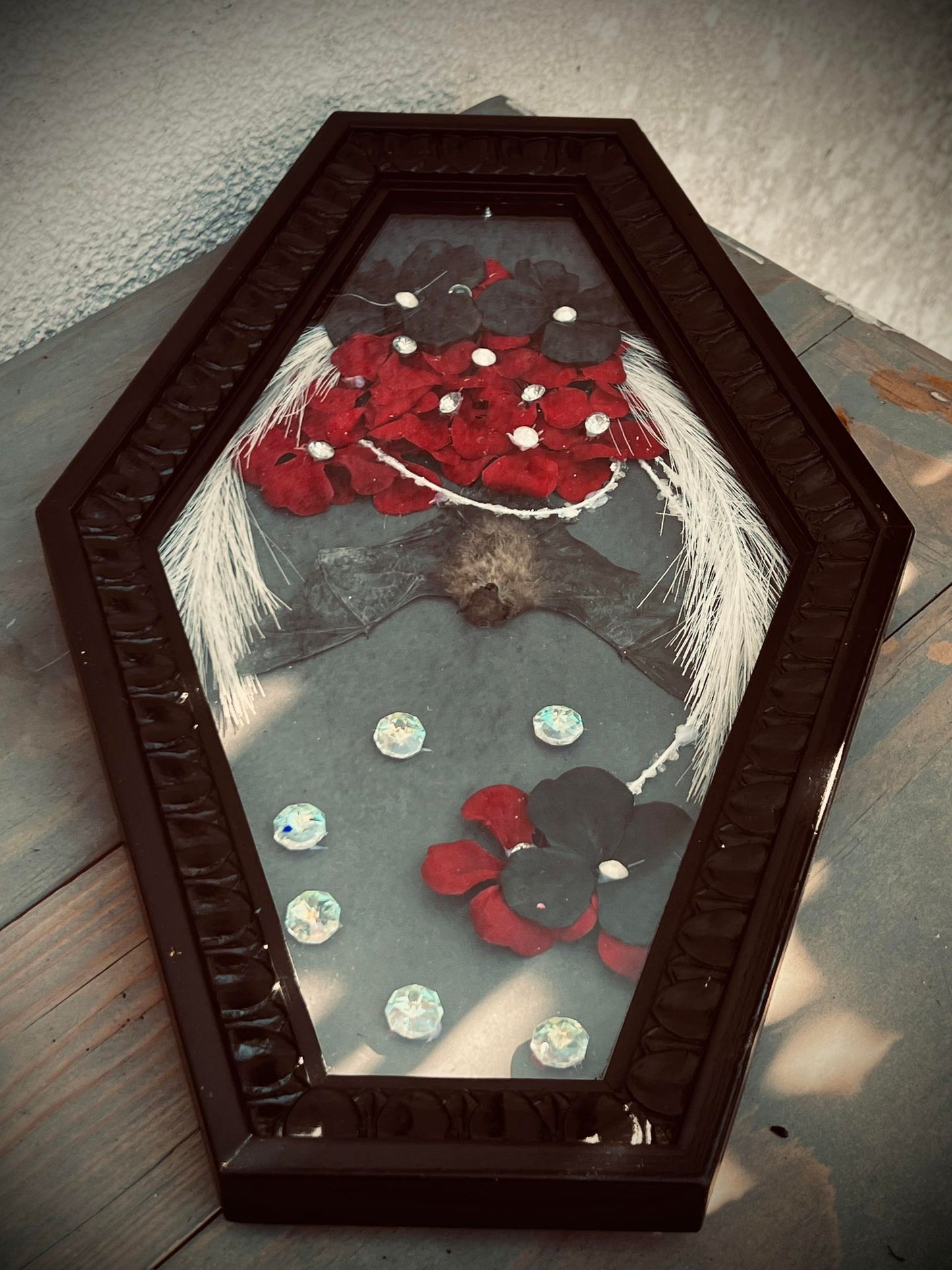 Real Tylonycteris Pachypus Bamboo Bat Display Taxidermy Preserved Whimsical Oddity Oddities Occult Curiosities Gift Idea Entomology