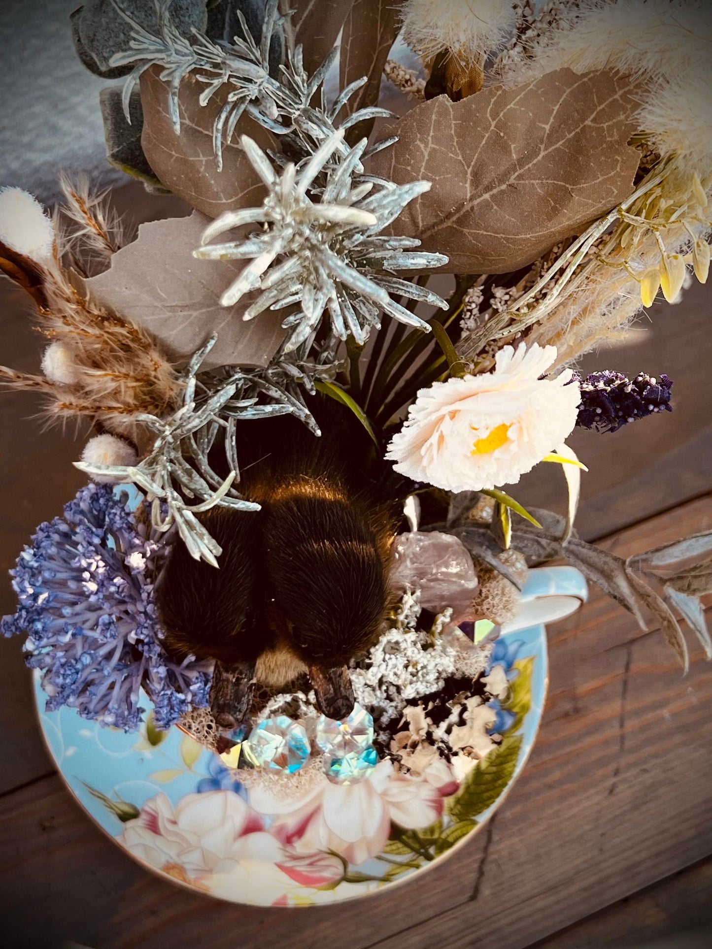 2 Headed Duckling Taxidermy, Gift Idea, Baby Duck, Teacup display, Oddity, Oddities, Occult, Curiosities bizarre biology specimen collection