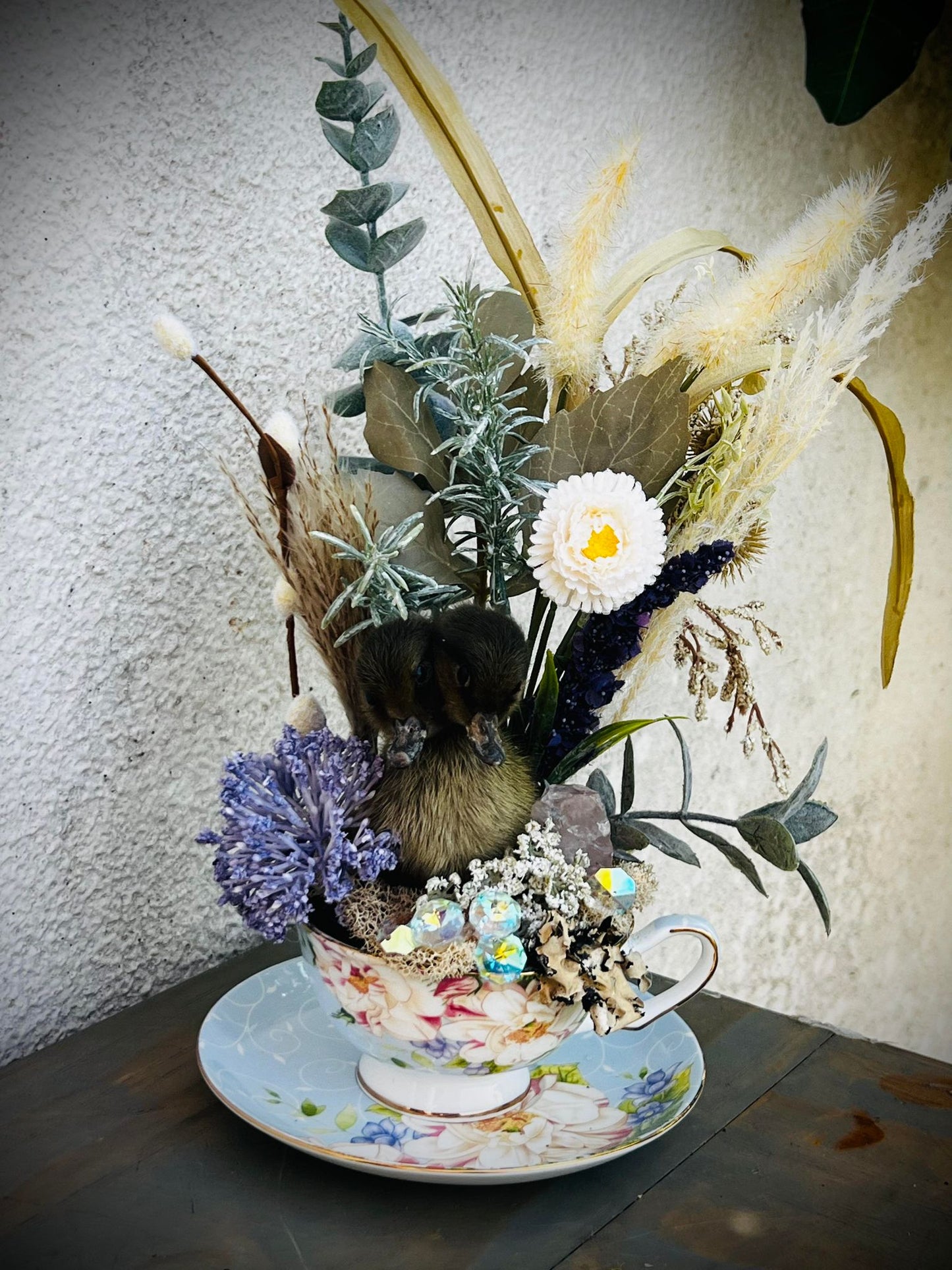 2 Headed Duckling Taxidermy, Gift Idea, Baby Duck, Teacup display, Oddity, Oddities, Occult, Curiosities bizarre biology specimen collection