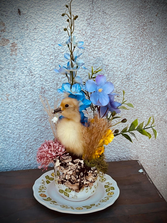 Baby Duckling Teacup Taxidermy, Gift Idea, Baby Duck on display, Oddity, Oddities, Occult, Curiosities bizarre biology specimen collection