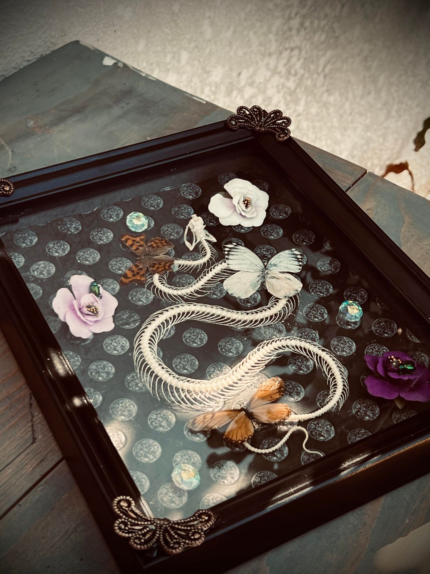 Real Pit Viper Snake Bone Skeleton Butterfly Display Taxidermy Preserved Whimsical Oddity Oddities Occult Curiosities Gift Idea Entomology