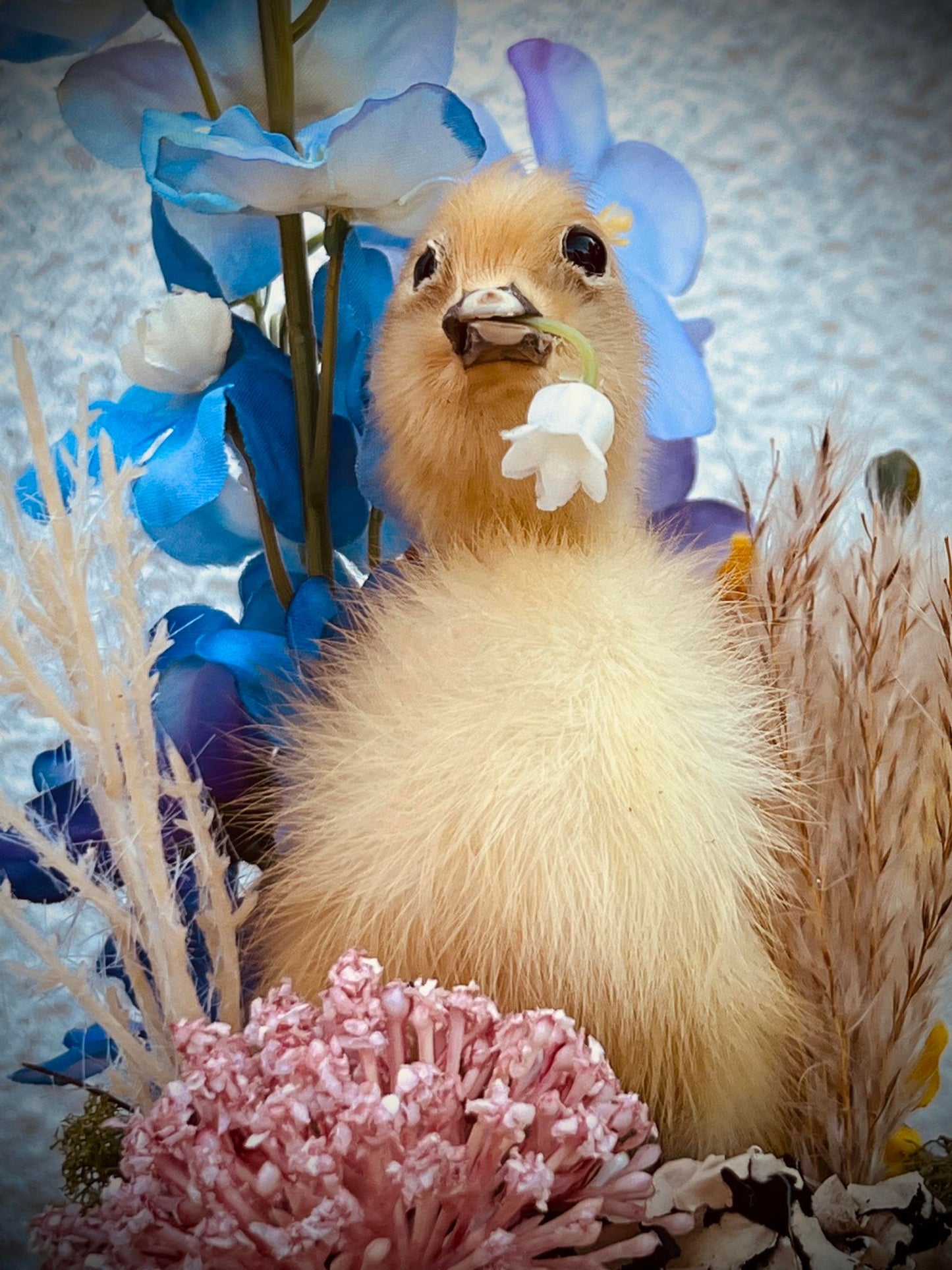 Baby Duckling Teacup Taxidermy, Gift Idea, Baby Duck on display, Oddity, Oddities, Occult, Curiosities bizarre biology specimen collection