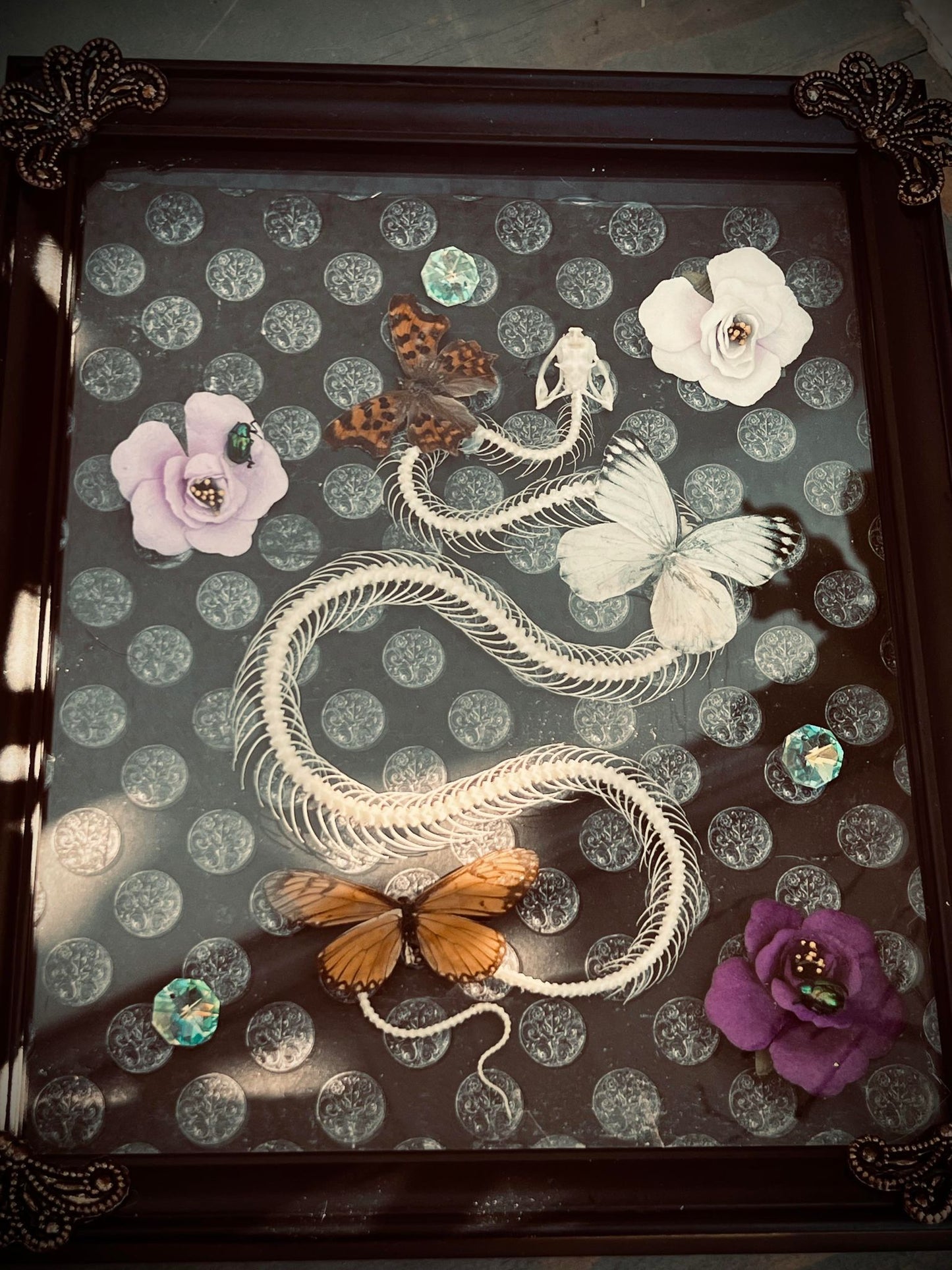 Real Pit Viper Snake Bone Skeleton Butterfly Display Taxidermy Preserved Whimsical Oddity Oddities Occult Curiosities Gift Idea Entomology