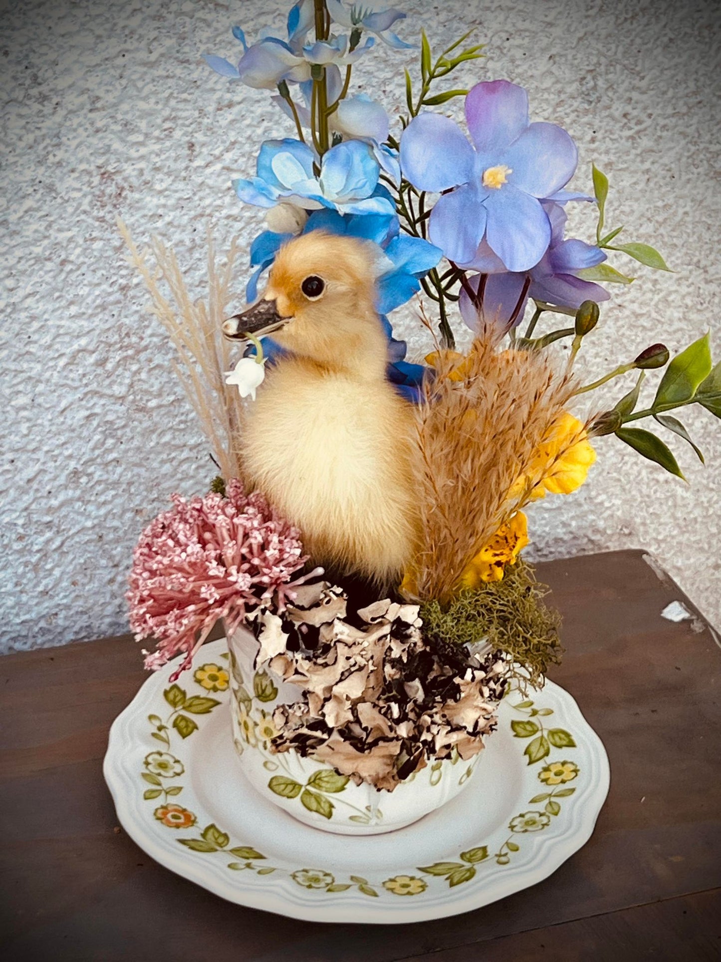 Baby Duckling Teacup Taxidermy, Gift Idea, Baby Duck on display, Oddity, Oddities, Occult, Curiosities bizarre biology specimen collection