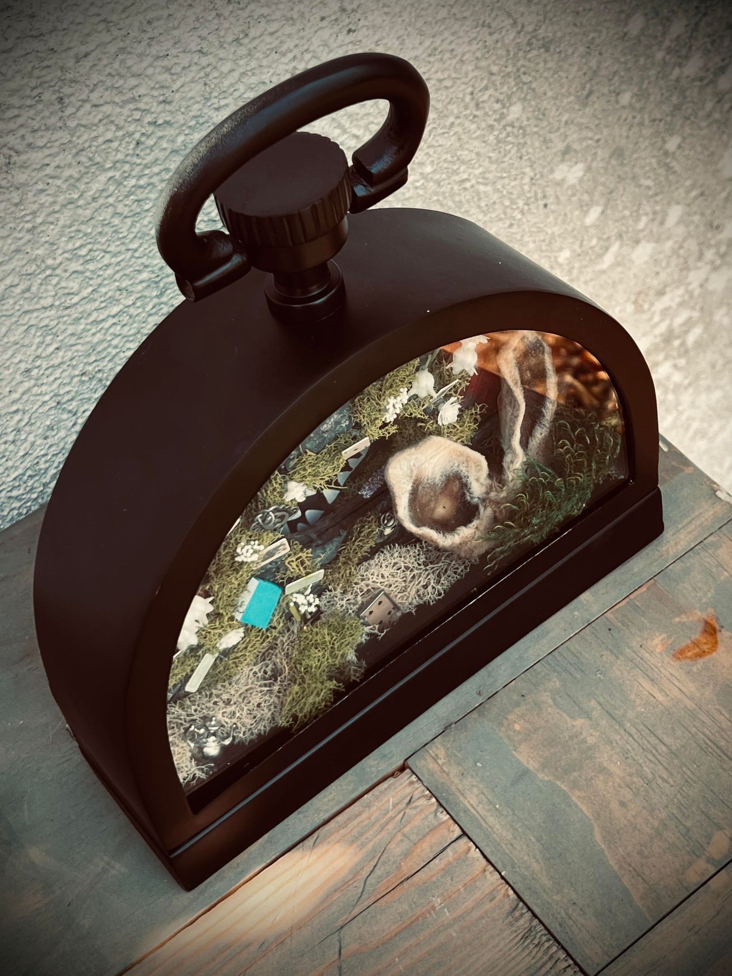 Real Bunny Ears Alice In Wonderland Display Taxidermy Home Decor Preserved Whimsical Oddity Oddities Occult Curiosities Collection Gift Idea