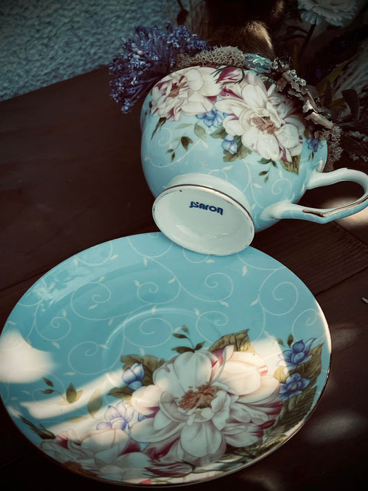 2 Headed Duckling Taxidermy, Gift Idea, Baby Duck, Teacup display, Oddity, Oddities, Occult, Curiosities bizarre biology specimen collection