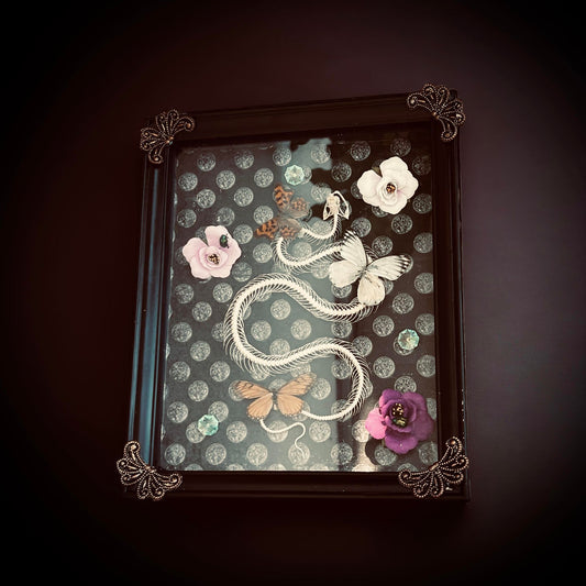 Real Pit Viper Snake Bone Skeleton Butterfly Display Taxidermy Preserved Whimsical Oddity Oddities Occult Curiosities Gift Idea Entomology