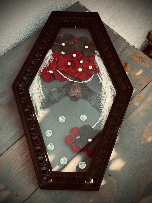 Real Tylonycteris Pachypus Bamboo Bat Display Taxidermy Preserved Whimsical Oddity Oddities Occult Curiosities Gift Idea Entomology