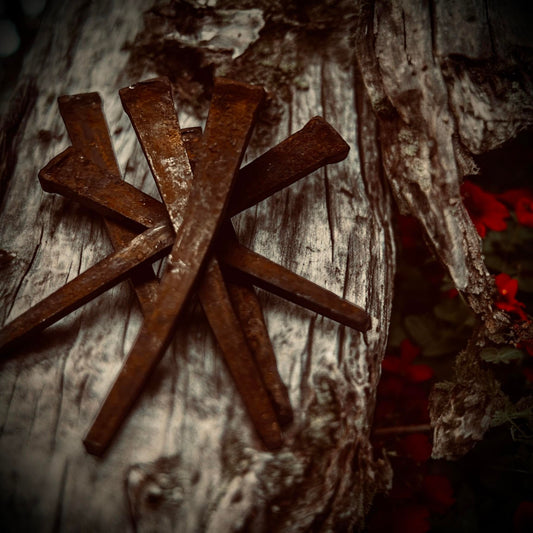 Coffin Nails Basley Haunted House Collected Specimen in Glass Vail Curiosity, Oddity, Apothecary, Unique Gift Idea Witchcraft Collectors