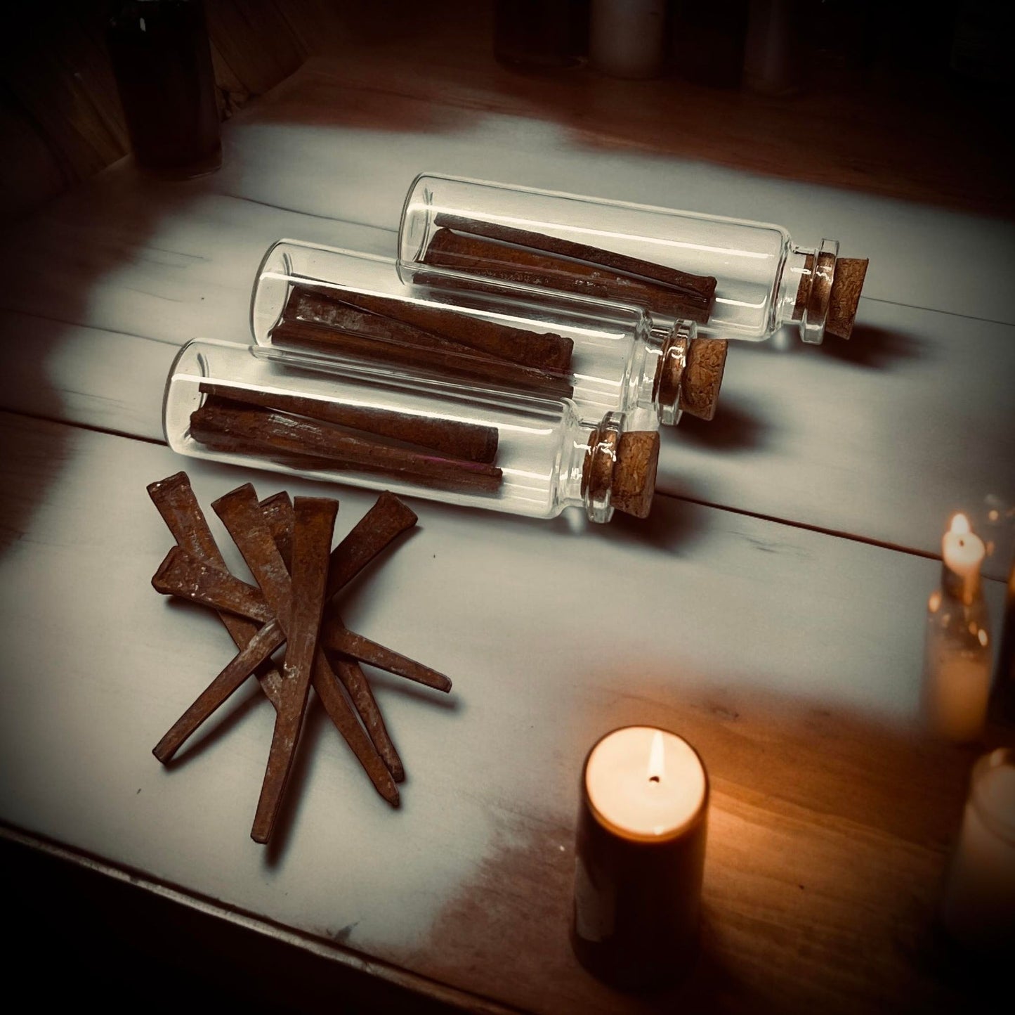 Coffin Nails Basley Haunted House Collected Specimen in Glass Vail Curiosity, Oddity, Apothecary, Unique Gift Idea Witchcraft Collectors