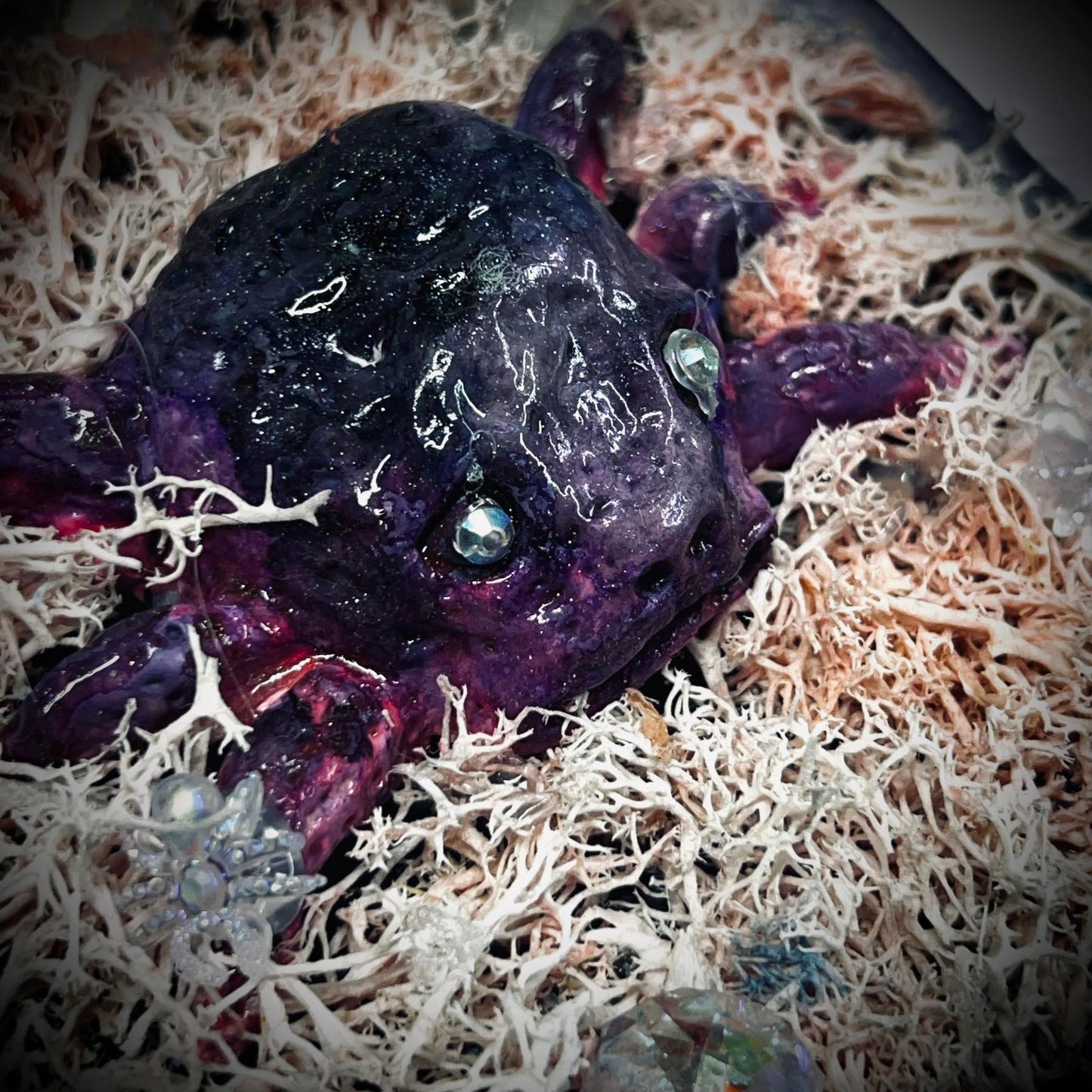 Familiar Witch Wooden Box Trinket Oddity Box Clay Sculpture Curiosity, Oddity, Unique Gift Idea, Creepy Unusual Hand Crafted One of a Kind