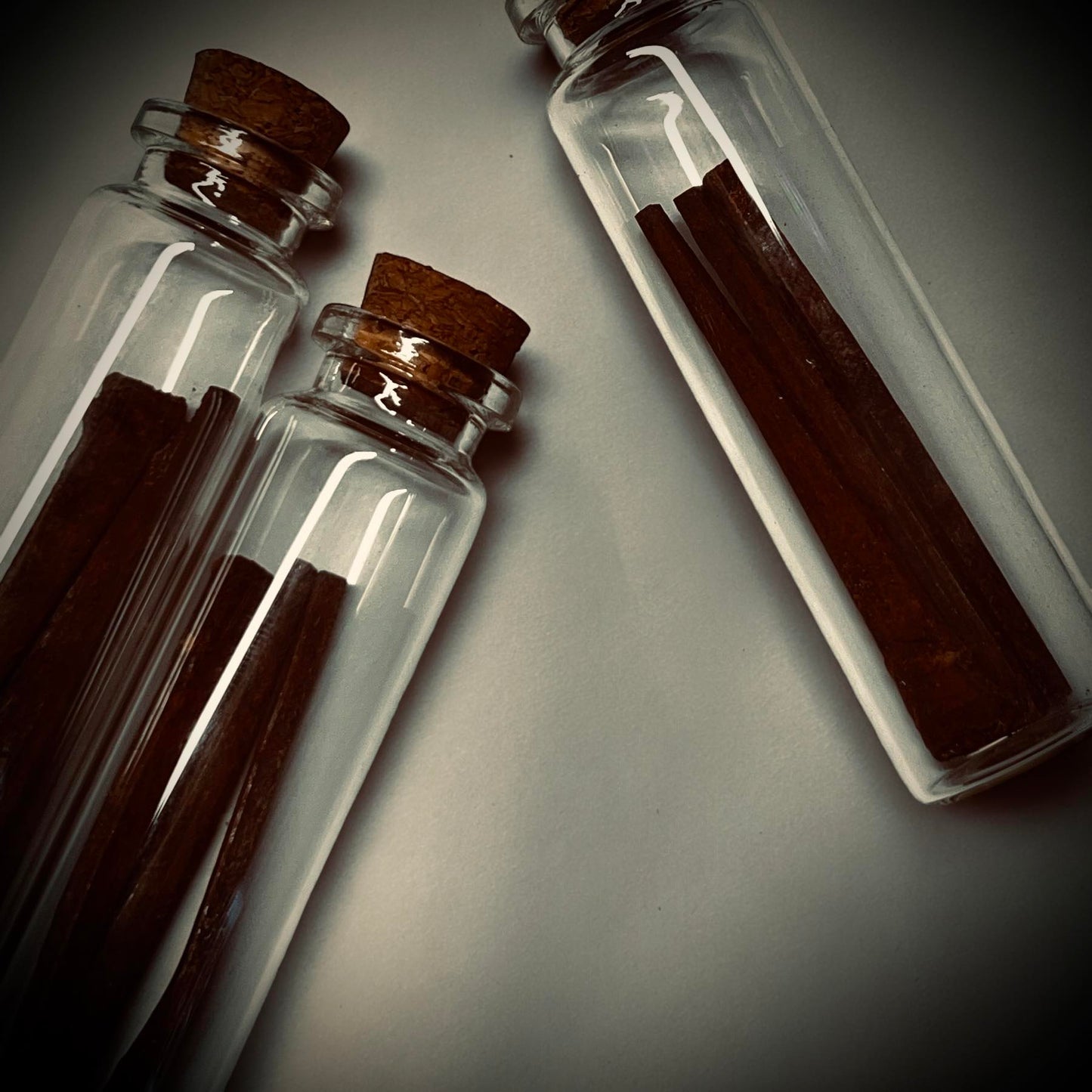 Coffin Nails Basley Haunted House Collected Specimen in Glass Vail Curiosity, Oddity, Apothecary, Unique Gift Idea Witchcraft Collectors