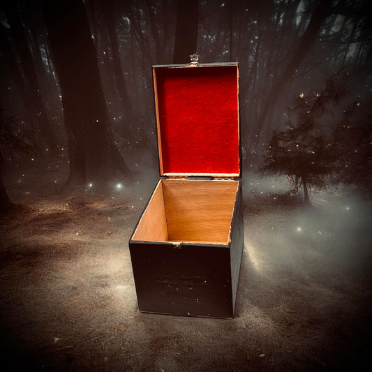 Mushroom Witch Wooden Box Trinket Oddity Box Clay Sculpture Curiosity, Oddity, Unique Gift Idea, Creepy Unusual Hand Crafted One of a Kind