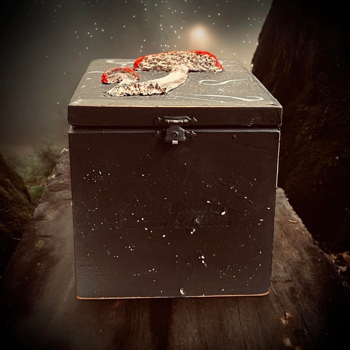 Mushroom Witch Wooden Box Trinket Oddity Box Clay Sculpture Curiosity, Oddity, Unique Gift Idea, Creepy Unusual Hand Crafted One of a Kind