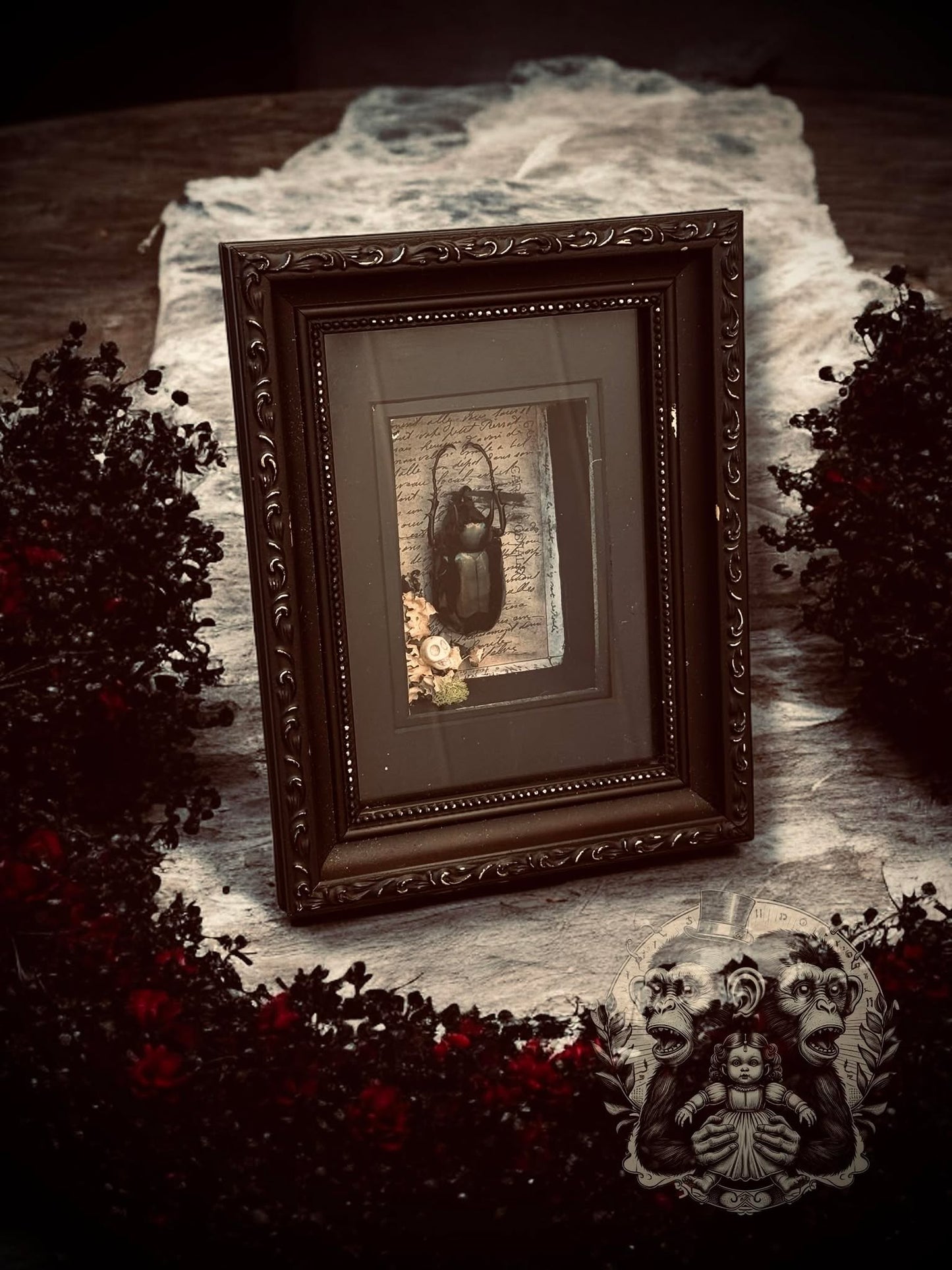 Atlas Beetle Chalcosoma Atlas Huge Beetle Shadow Box Display Taxidermy Home Decor Preserved Whimsical Oddity Oddities Curiosities Gift Idea