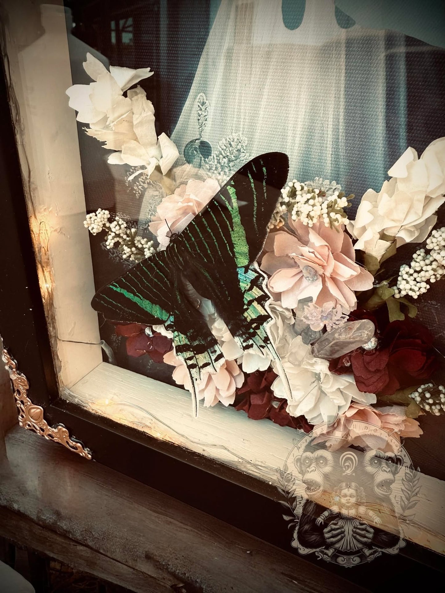 Urania Butterfly Ghostly Ghost Lighted Shadow Box Display Taxidermy Home Decor Preserved Whimsical Oddity Oddities Curiosities Gift Idea